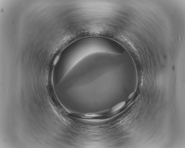 X0000088080496200705111436