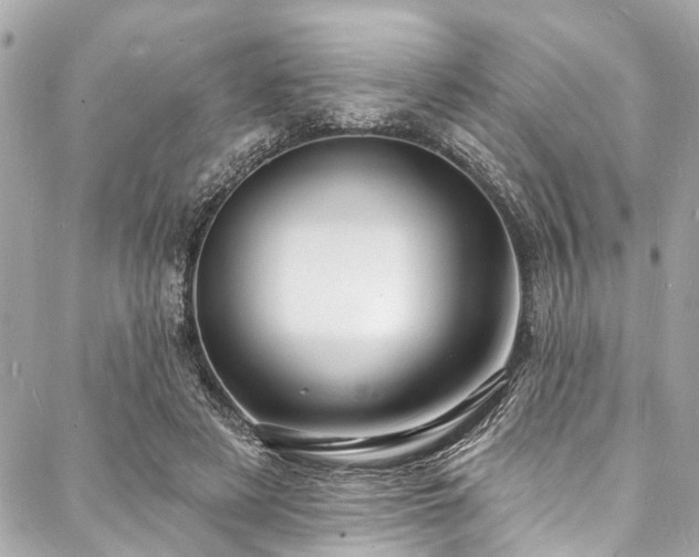 X0000088080497200705111436