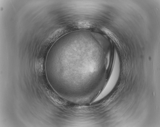 X0000088080501200705111436