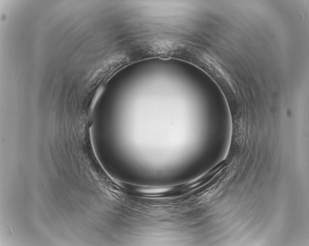 X0000088080505200705111436
