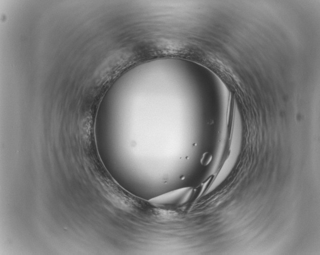 X0000088080509200705111436