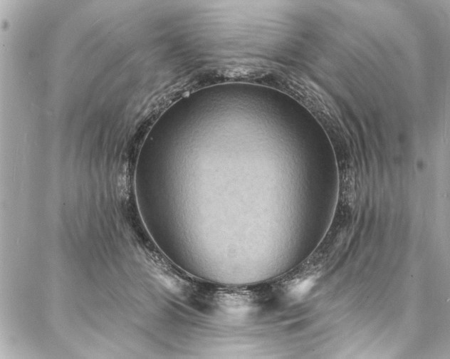 X0000088080510200705111436