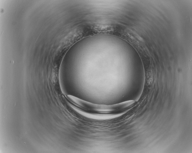 X0000088080515200705111436
