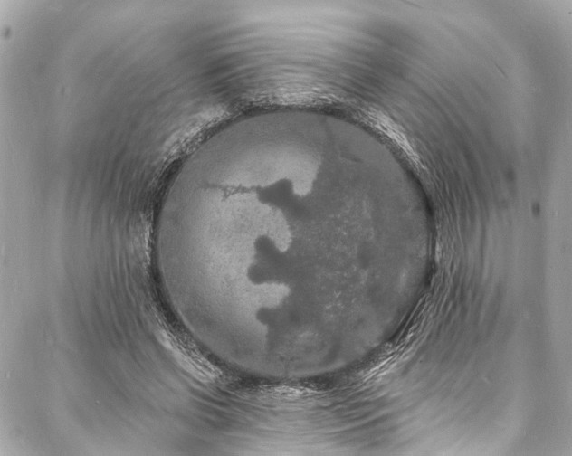 X0000088080542200705111435