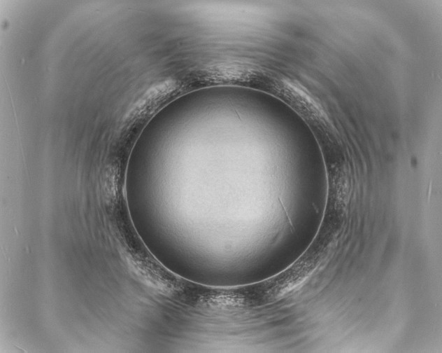 X0000088080546200705111435