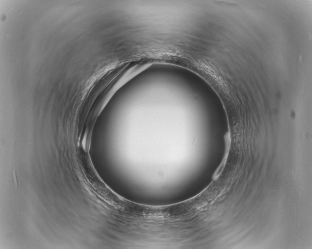 X0000088080587200705111435