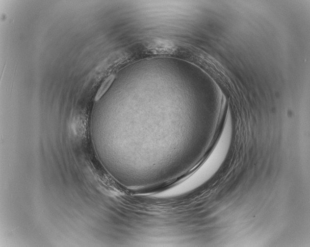 X0000088080604200705111435