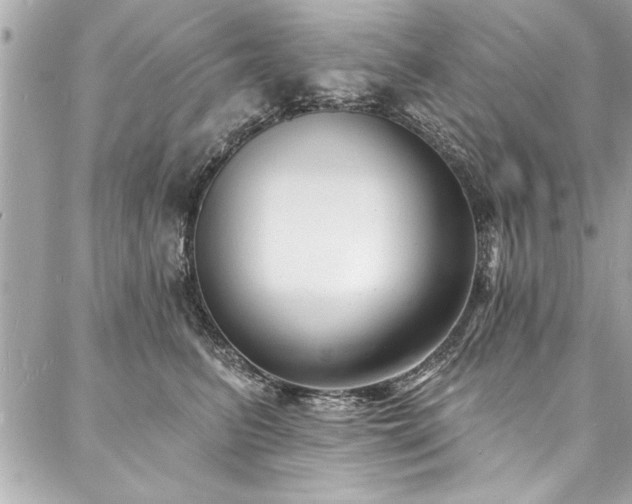 X0000088080615200705111434