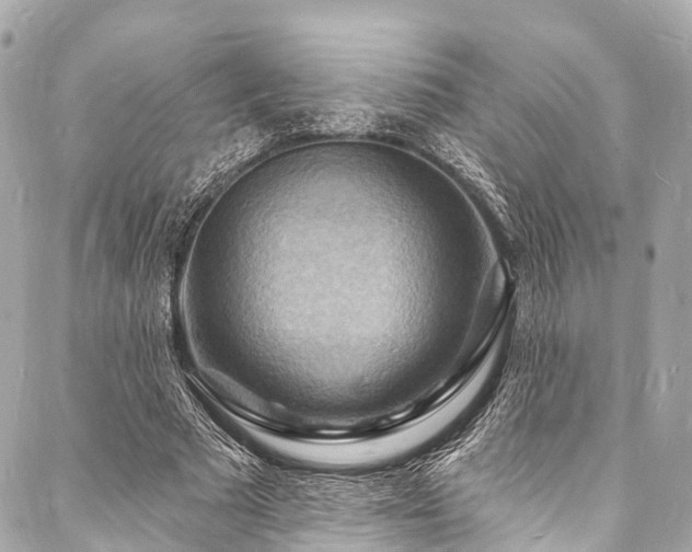 X0000088080681200705111433