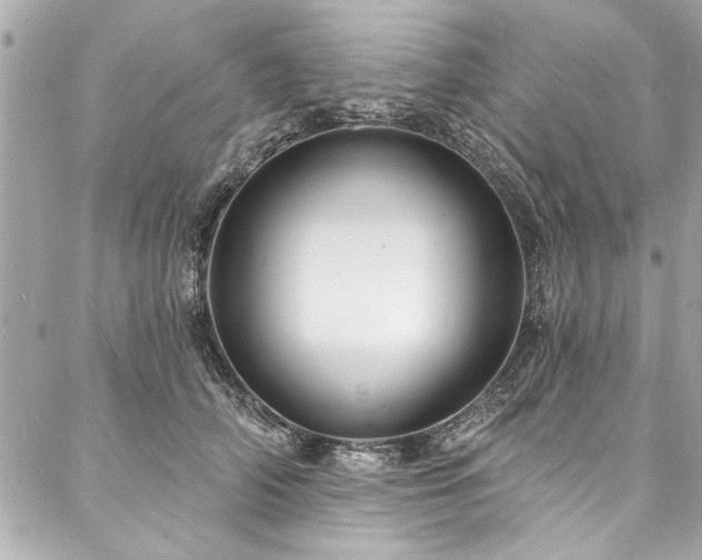 X0000088080706200705111433