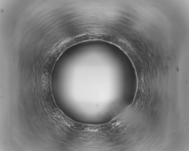 X0000088080773200705111432