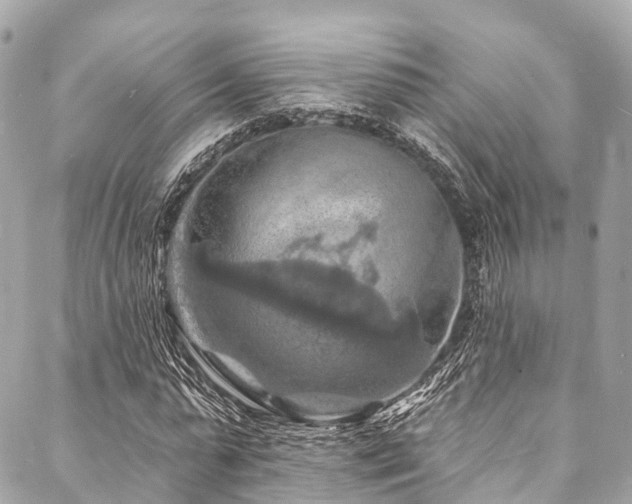 X0000088080775200705111432