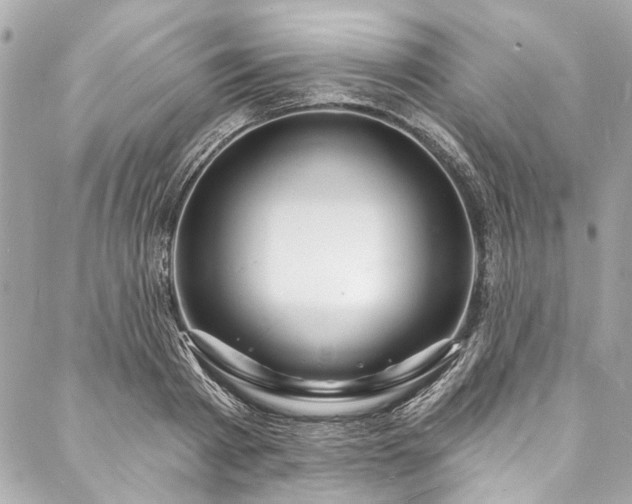 X0000088080793200705111431