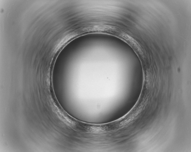 X0000088080794200705111431