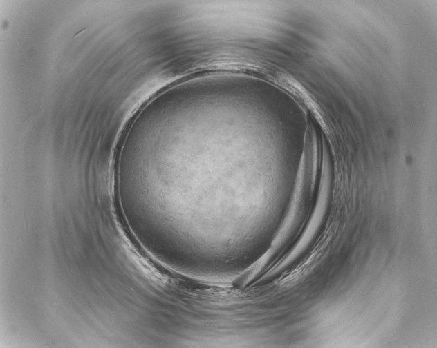 X0000088080795200705111431