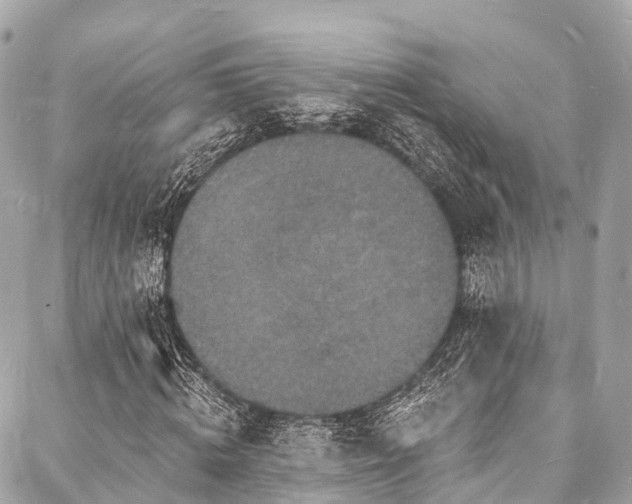 X0000088080820200705111430