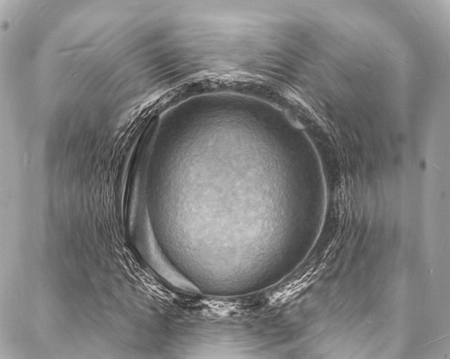 X0000088080822200705111430