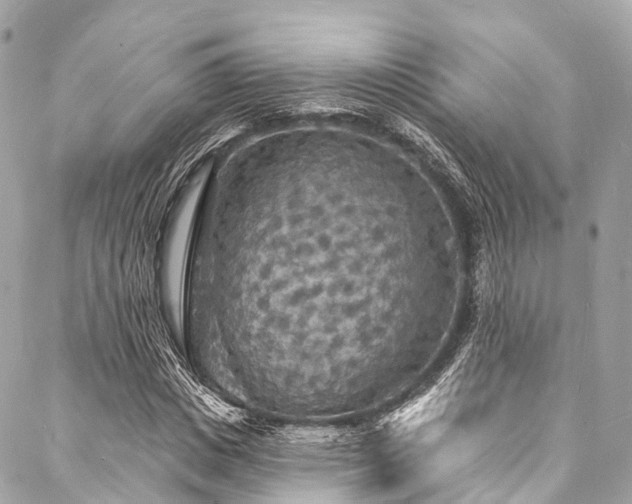 X0000088080825200705111430