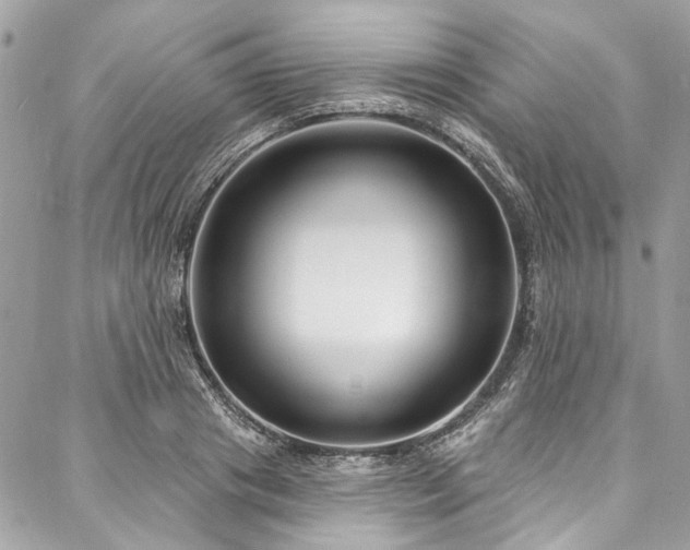 X0000088080841200705111431