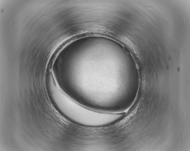 X0000088080924200705111429