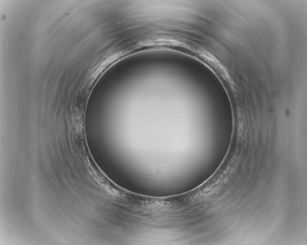 X0000088080945200705111429