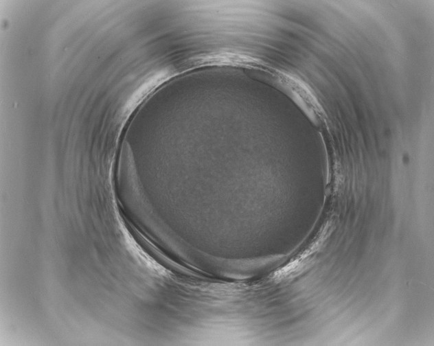 X0000088080946200705111429
