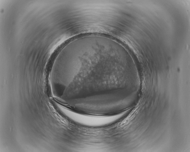 X0000088080975200705111428
