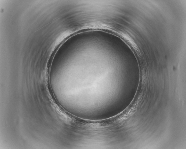 X0000088080990200705111428