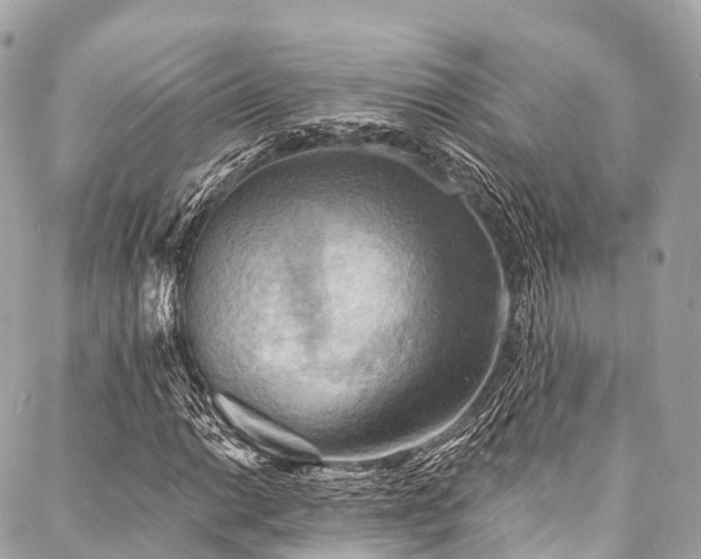 X0000088081014200705111427