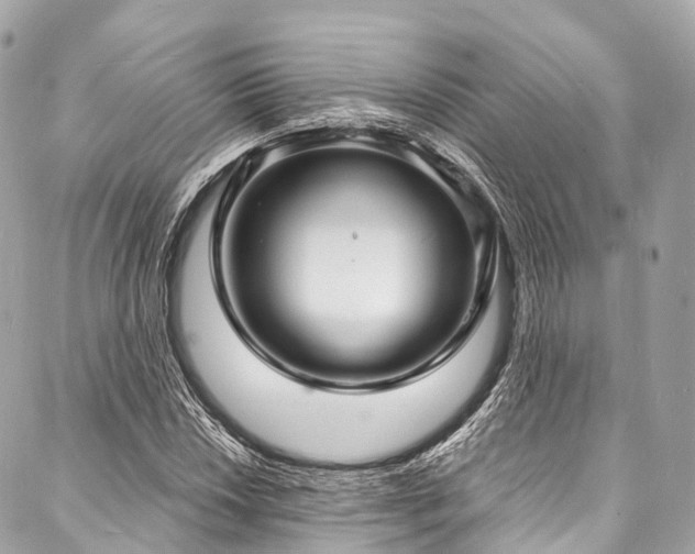 X0000088081018200705111427