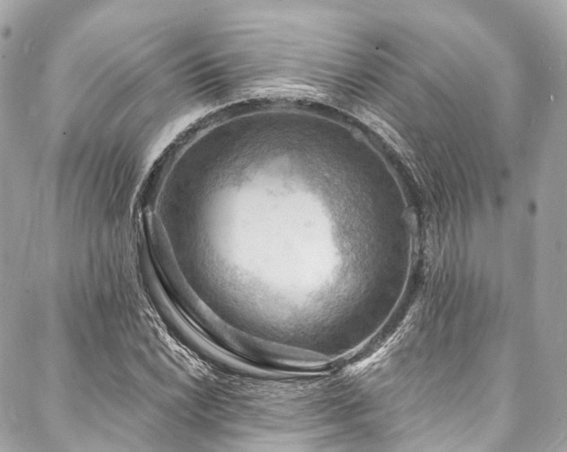 X0000088081022200705111427