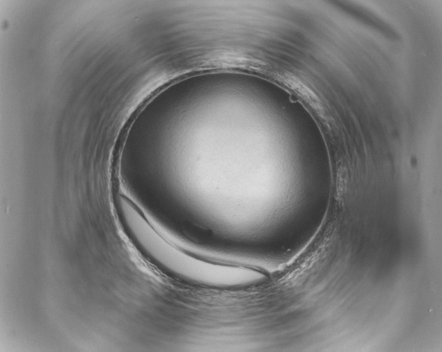 X0000088081039200705111428