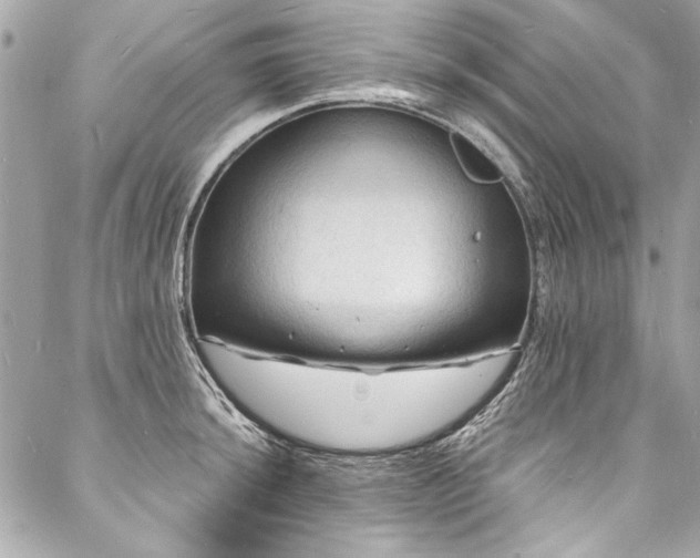 X0000088081044200705111428