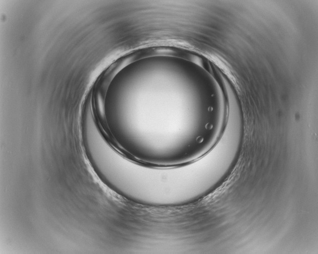 X0000088081046200705111428