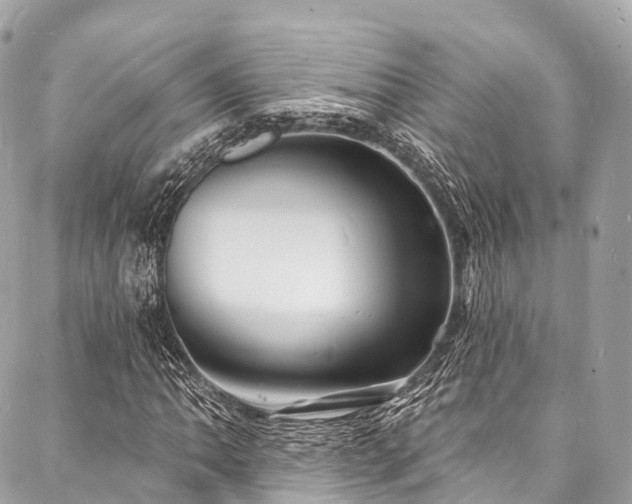 X0000088081062200705111427