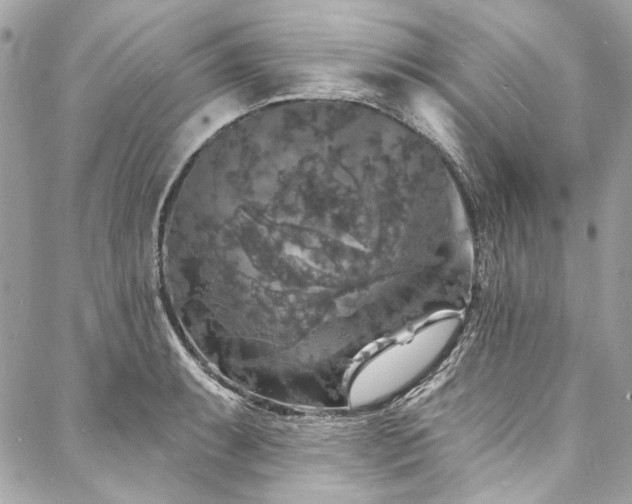 X0000088081087200705111427