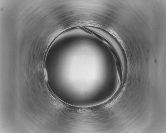 X0000088081089200705111427