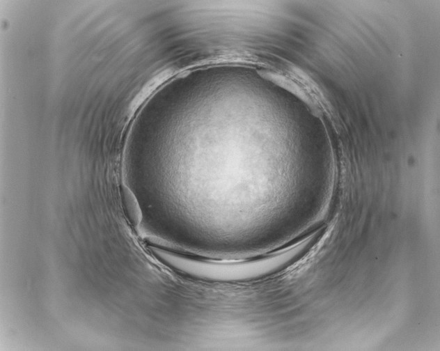 X0000088081097200705111426