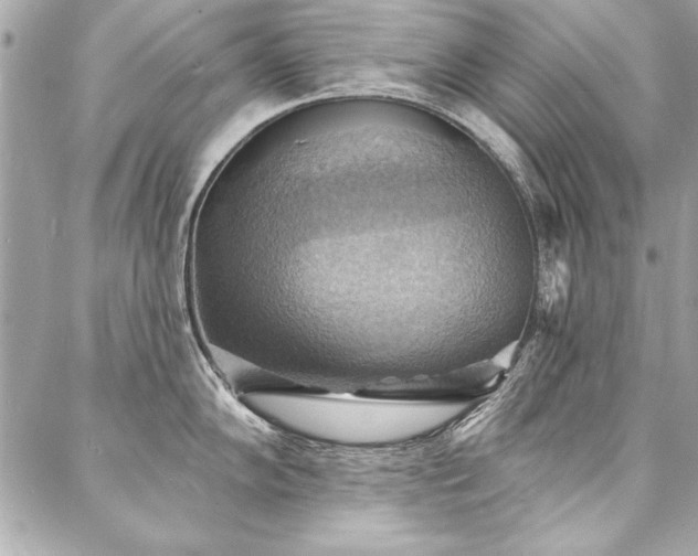 X0000088081102200705111426
