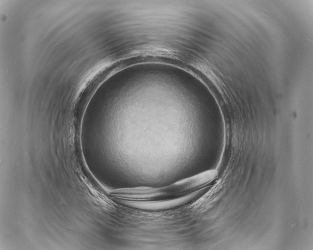 X0000088081115200705111426