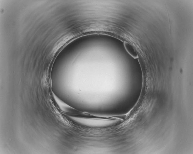 X0000088081129200705111426