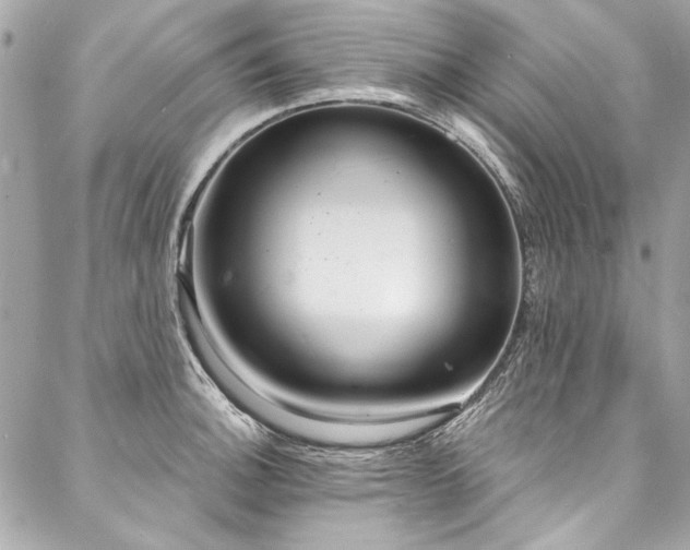 X0000088081140200705111426