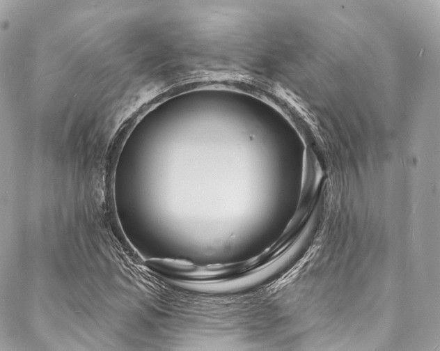 X0000088081165200705111425