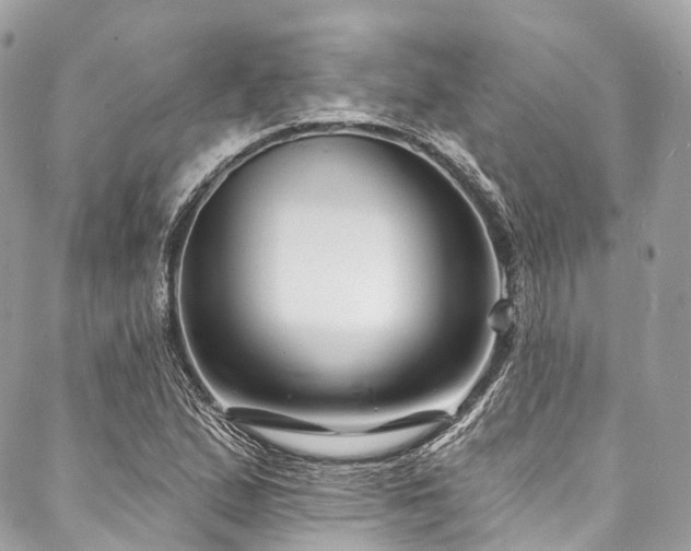 X0000088081167200705111425