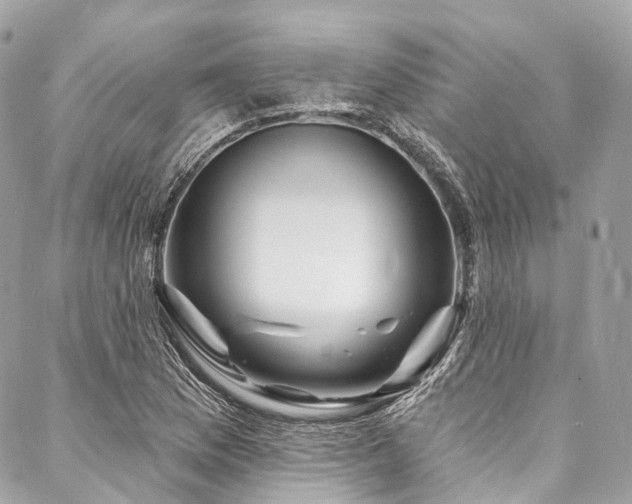 X0000088081169200705111425