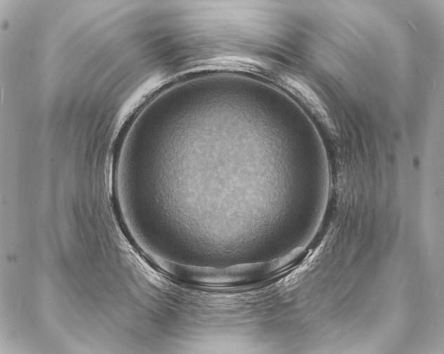 X0000088081180200705111425