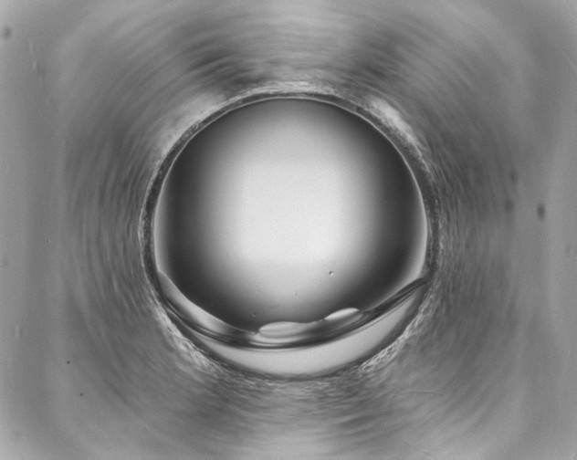 X0000088081181200705111425