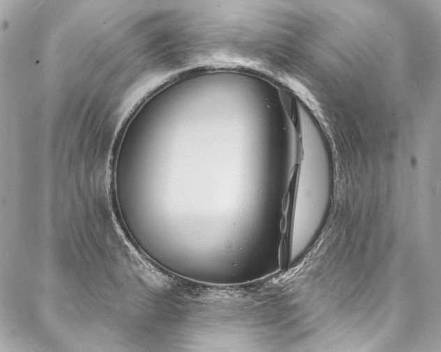 X0000088081183200705111425