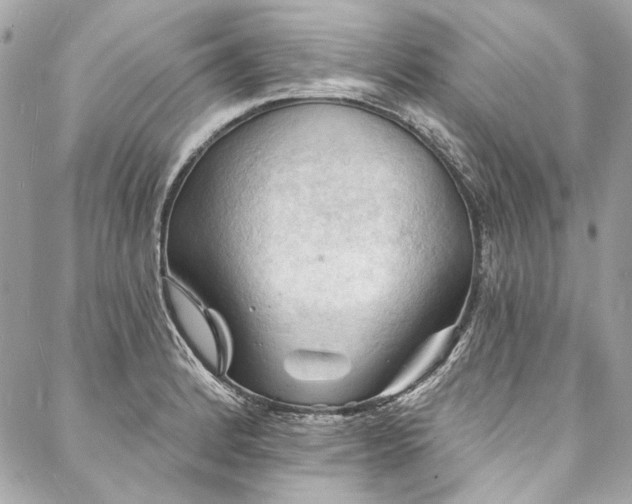 X0000088081184200705111425