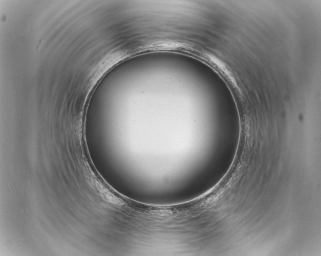 X0000088081186200705111425